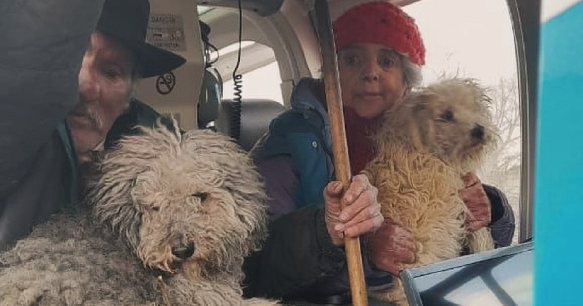 Un matrimonio quedó atrapado en la nieve junto a sus perros en Aluminé: lograron rescatarlos thumbnail