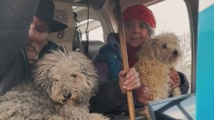 Video | Un matrimonio quedó atrapado en la nieve junto a sus perros en Aluminé: lograron rescatarlos