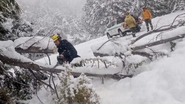 La caída de árboles complicó varias rutas de la cordillera. Foto: Parque Lanín. 
