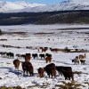 Imagen de Ingresó un frente frío: lluvias para el Alto Valle y Bariloche, y alerta por nieve en el norte neuquino