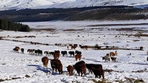 Ingresó un frente frío: lluvias para el Alto Valle y Bariloche, y alerta por nieve en el norte neuquino