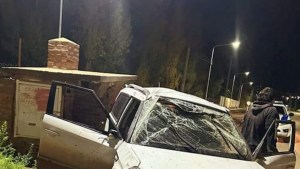 Chocaron contra un nicho de gas y volcaron en Catriel: hay cuatro heridos