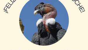 Investigadores de Bariloche advierten sobre la Ley de Bases y el desmantelamiento del sistema científico