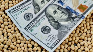 Con la suba del dólar y del precio de la soja, el Gobierno espera que el agro acelere la liquidación