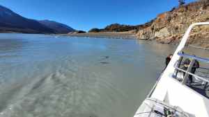 Alerta por las manchas oscuras frente al glaciar Perito Moreno: derrame de combustible o material orgánico