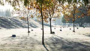 Se adelantó el invierno en Neuquén y Río Negro: este miércoles hará aún más frío, ¿hasta cuándo dura?