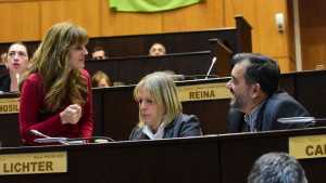La Legislatura pidió a Figueroa que interceda por los despidos en organismos nacionales de Neuquén