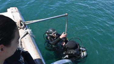¿Sos de Las Grutas y querés conocer el fondo del mar? Se vienen clases de buceo para residentes