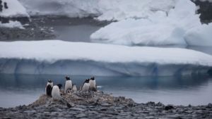 Parlamentarios de Chile viajaron a la Antártida para defender la «soberanía» luego de posible hallazgo de petróleo
