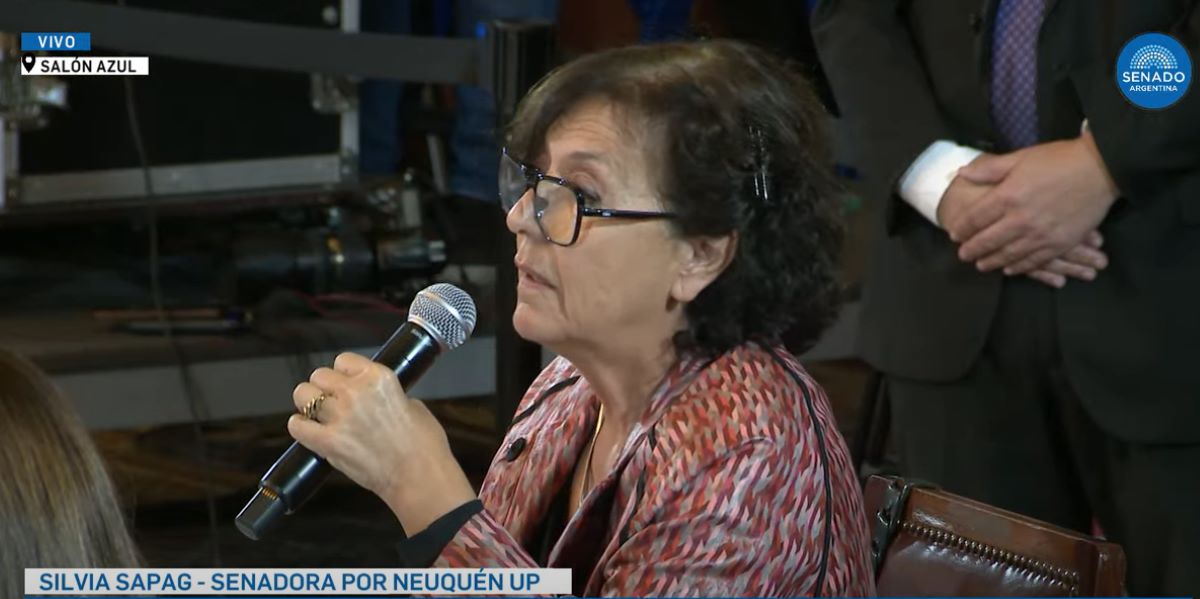 La senadora de Neuquén sostuvo que ningún punto de la Ley Bases es beneficioso para el país. Foto: Captura. 