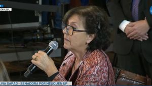 Ley Bases en el Senado: «Nos piden que volvamos a la época de Menem», criticó Silvia Sapag