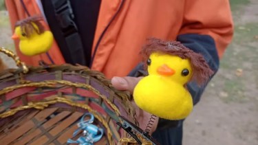 Javier Milei canta en el Luna Park este miércoles: entradas agotadas y patitos Kawaii en la previa al show