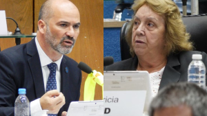 El PRO elige a sus autoridades en Río Negro: Martín ya votó y define la conducción contra Mc Kidd