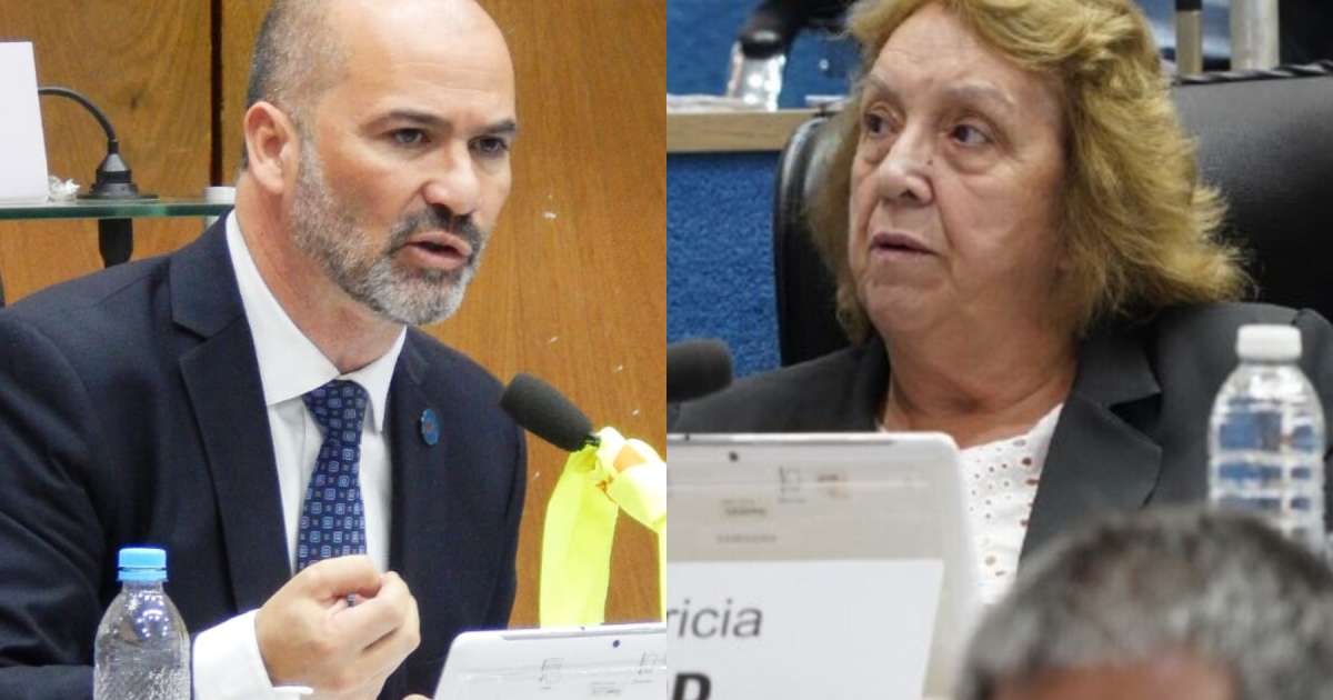 El PRO ya elige a sus autoridades en Río Negro: Martín y Mc Kidd disputan la conducción del partido thumbnail