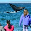 Imagen de Puerto Madryn: Los chicos visitarán a las ballenas en El Doradillo, la playa donde esas ‘gigantes’ se ven más cerca