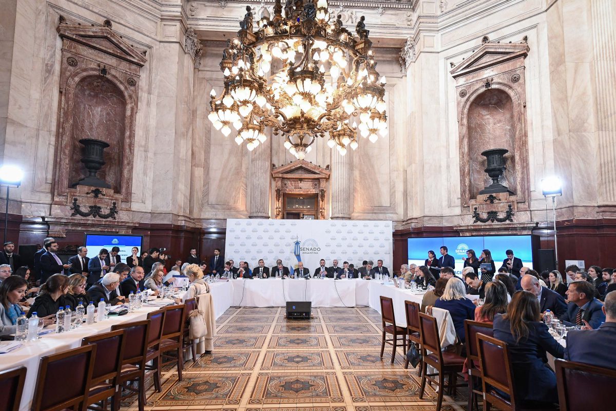 La Ley Bases y el paquete fiscal llegaron al Senado con el debate en el plenario de comisiones. (foto X)