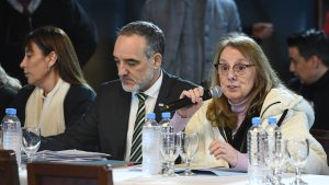 Vivo | Ley Bases en el Senado: cayó la posibilidad de dictamen y habrá cuarto intermedio hasta nuevo aviso