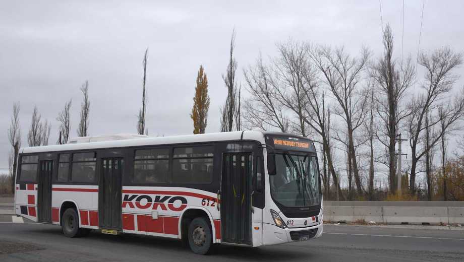 Aumentó el Koko en Valle Medio. Foto: Juan Thomes. 