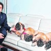 Imagen de Adorni evitó responder por los perros clonados de Milei:  “De la vida privada del Presidente no vamos a hablar”