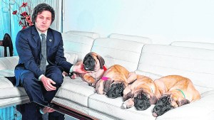 Adorni evitó responder por los perros clonados de Milei:  “De la vida privada del Presidente no vamos a hablar”