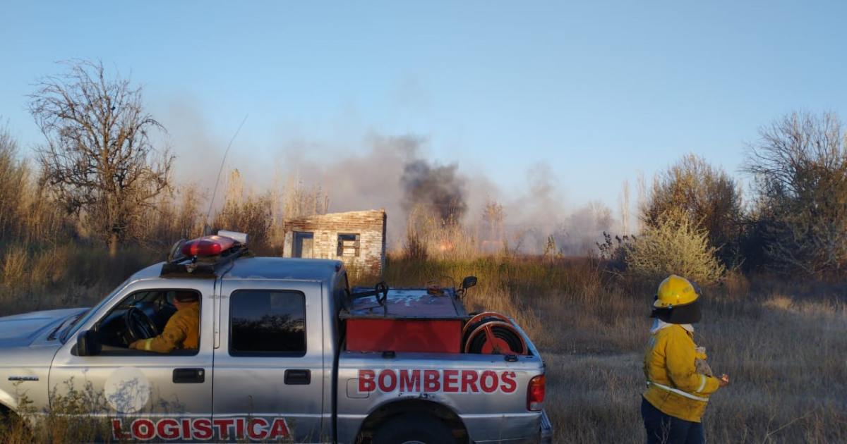 Incendio en una chacra abandonada en Cinco Saltos: investigan las causas thumbnail