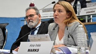 La iniciativa fue presentada por legisladores del bloque PJ-Nuevo Encuentro. Foto: Marcelo Ochoa.