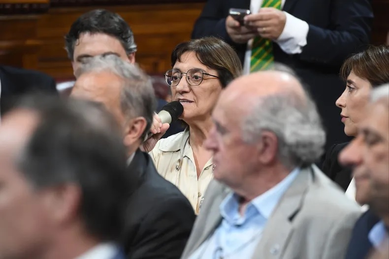 La senadora Mónica Silva cuestionó la reversión de Ganancias. 