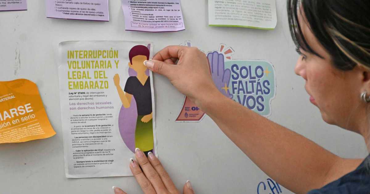 Barreras para el acceso al aborto en Neuquén: un estudio registró que las mujeres deben visitar o llamar a más de un lugar thumbnail
