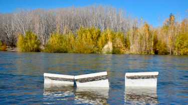 Video | La crecida del río Limay dejó árboles y costas inundadas en Neuquén: mirá las fotos