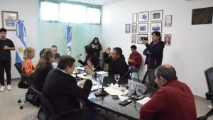 El veto a la rebaja de las patentes en Plaza Huincul llegó al Concejo Deliberante
