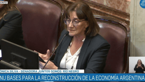 Ley Bases en el Senado: cómo votarían los legisladores de Neuquén y Río Negro