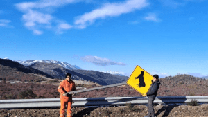 Ruta 40, entre Bariloche y El Bolsón: así instalaron señales que brindarán seguridad a viajeros de la Patagonia