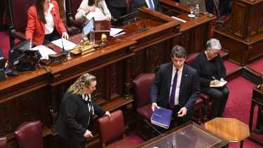 Posse en el Senado ratificó que propondrá bajar la edad de imputabilidad: «un delito de adulto merece una pena de adulto»