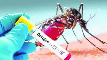 Argentina superó récords anuales anteriores en los primeros meses de 2024. Foto: archivo