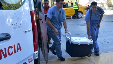 El equipo de trabajo cuenta con medio centenar de profesionales y trabajadores de distintas áreas. Foto: gentileza