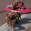 Imagen de Cómo fue el rescate de «Caramelo», el caballo que quedó atrapado en un techo por las inundaciones en Brasil