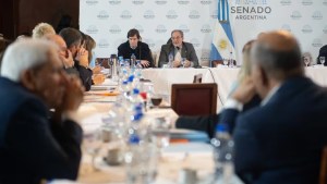 Ley Bases en el Senado, en vivo: el oficialismo analiza cambios, pero todavía no destraba el dictamen