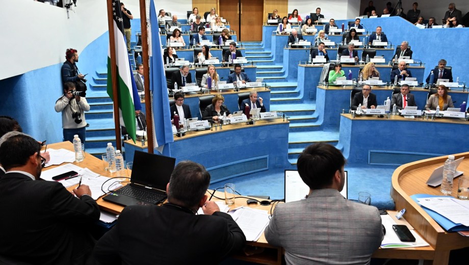 El debate en la Justicia se concentra en la remoción de un legislador, que abandonó el bloque de Primero Río Negro. Foto: Archivo