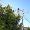 Imagen de Edersa anunció la finalización de nuevas obras eléctricas que beneficiarán a barrios de Viedma