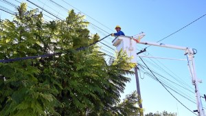 Edersa anunció la finalización de nuevas obras eléctricas que beneficiarán a barrios de Viedma