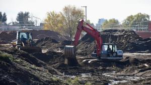 Mientras se pierde un humedal por un mega loteo en Neuquén, la Legislatura comienza a tratar un proyecto para protegerlo