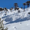 Imagen de Amaneció con un metro de nieve en un paraíso de la Patagonia, salió a caminar y el video es una belleza