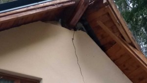 Fuertes vientos en Bariloche: cayó un árbol en Villa Tacul y destrozó una casa