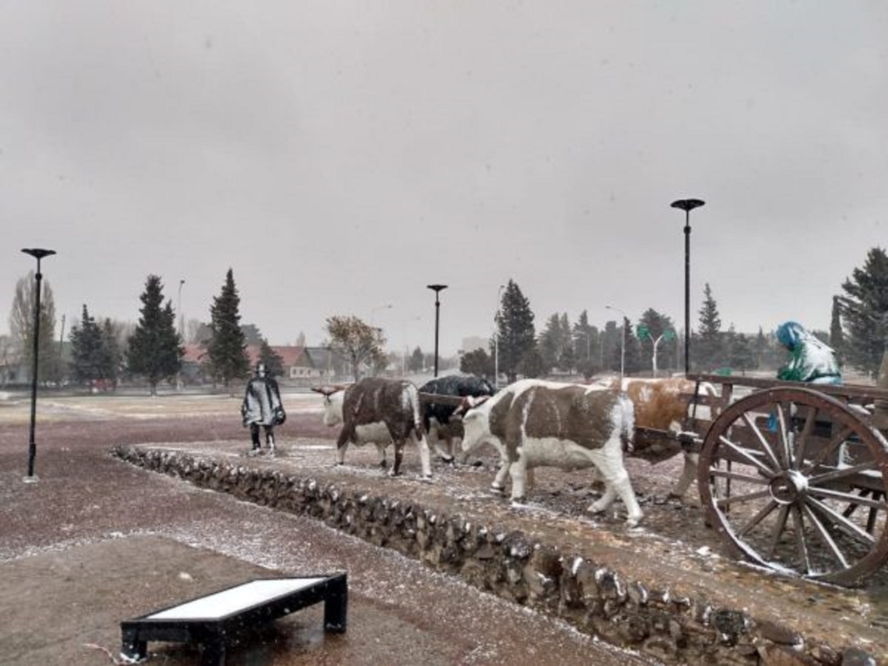 El alerta por caída de nieve rige para Zapala y para toda la franja central de la provincia de Neuquén. (Archivo)