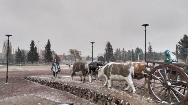 El alerta por caída de nieve rige para Zapala y para toda la franja central de la provincia de Neuquén. (Archivo)