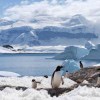 Imagen de Boric se opone a la explotación petrolera en la Antártida: «Es un continente de ciencia y de paz», dijo tras el anuncio de Rusia