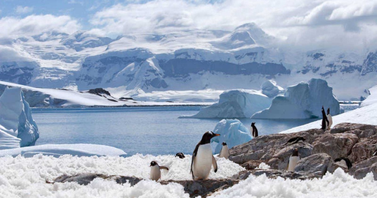 Boric se opone a la explotación petrolera en la Antártida: «Es un continente de ciencia y de paz», dijo tras el anuncio de Rusia thumbnail