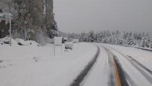 Intensas nevadas en la Ruta 40 entre Bariloche y el Bolsón: piden «precaución» para circular