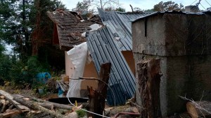 Fuertes vientos en Bariloche: cayó un árbol en Villa Tacul y destrozó una casa
