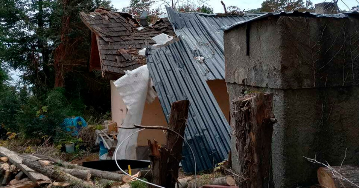 Fuertes vientos en Bariloche: cayó un árbol en Villa Tacul y destrozó una casa thumbnail